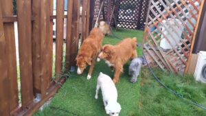 午前のお時間　2025/8/29