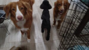 夜のお時間　2025/8/29