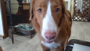 午前のお時間　2025/8/30