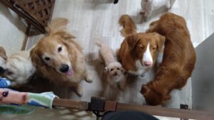 夜のお時間　2025/8/30