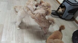 午前のお時間　2025/8/1