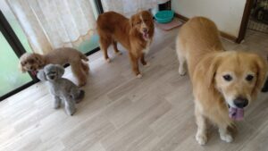 午前のお時間　2025/8/31