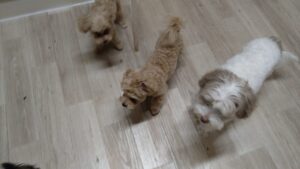 夜のお時間　2025/8/1