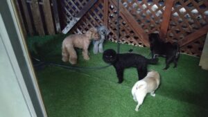 夜のお時間　2025/8/31