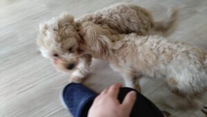 午前のお時間　2025/8/2