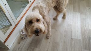 朝のお時間　2025/8/3