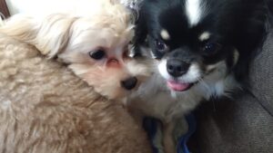 夜のお時間　2025/8/3