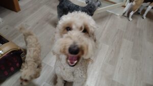 午前のお時間　2025/8/4