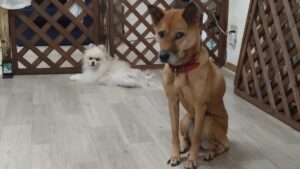 夜のお時間　2025/8/4