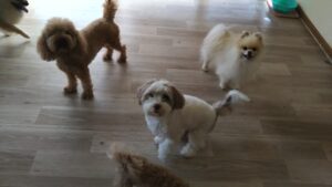 午前のお時間　2025/8/5