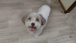 夜のお時間　2025/8/5