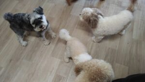 午前のお時間　2025/8/6