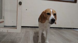 夜のお時間　2025/8/6