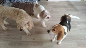 午前のお時間　2025/8/7