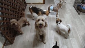 夜のお時間　2025/8/7