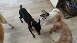 午前のお時間　2025/8/8