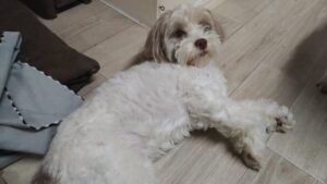 夜のお時間　2025/8/8