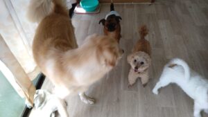 午前のお時間　2025/8/9