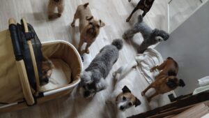 夜のお時間　2025/8/9