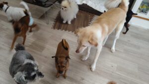 午前のお時間　2025/8/10