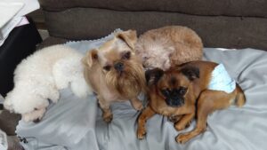 夜のお時間　2025/8/10