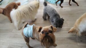 午前のお時間　2025/8/11