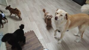 夜のお時間　2025/8/11