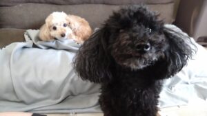 午前のお時間　2025/8/12