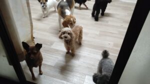 夜のお時間　2025/8/12