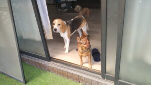 午前のお時間　2025/8/13