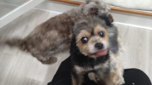 夜のお時間　2025/8/13