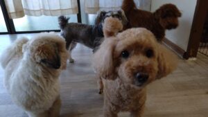 午前のお時間　2025/8/14