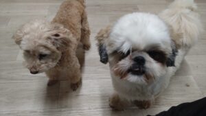 夜のお時間　2025/8/14