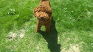 午前のお時間　2025/8/15