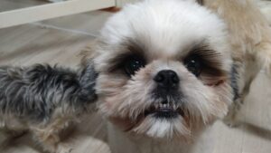 夜のお時間　2025/8/15