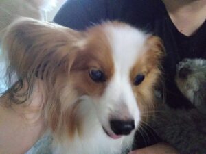 午前のお時間　2025/8/16