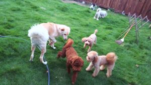 夜のお時間　2025/8/16