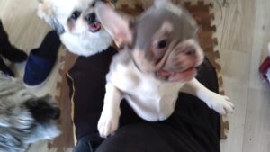 午前のお時間　2025/8/17