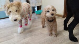 夜のお時間　2025/8/17