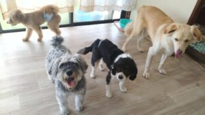 午前のお時間　2025/8/18