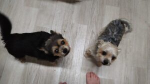 夜のお時間　2025/8/18