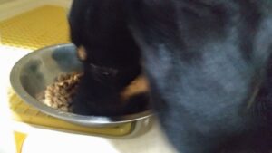 夜のお時間 2025/8/23