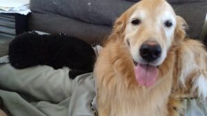 午前のお時間　2025/9/1