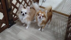 夜のお時間 2025/9/1