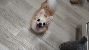 午前のお時間　2025/9/3