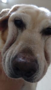 夜のお時間　2025/9/3