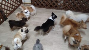 午前のお時間　2025/9/4