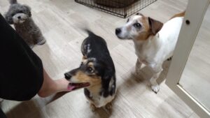 夜のお時間　2025/9/4