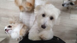 午前のお時間　2025/9/5