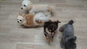 夜のお時間 2025/9/5